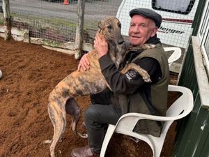 Supporting image for story: Butlers Lane can make veteran trainer’s dream come true in Friday’s Premier Greyhound Racing Oaks final
