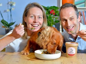 Supporting image for story: A dog’s dinner! Meet the Shropshire company featured at this year's Crufts at Birmingham NEC