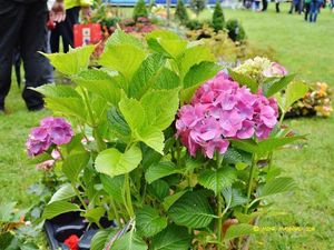 Supporting image for story: Focus points #photography