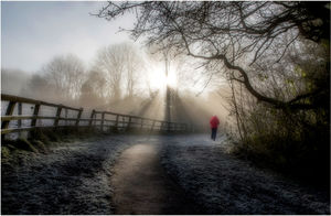Early Morning Walk - David Ormerod - Second Place General Class
