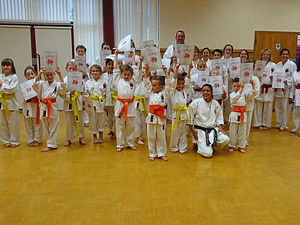 Supporting image for story: Telford karate school marks its birthday