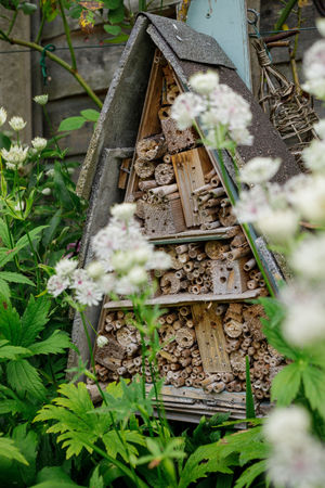 Couple John Butcher, 37 and Sarah Berry, 33, from Market Drayton are among eight households shortlisted in the BBC Gardeners’ World Award. Photo: Neil Hepworth