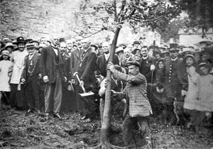 Planting of the Armistice tree near the wall of Ludlow Castle. Alderman Edward Sheldon takes his shovel to plant a young tree outside Ludlow Castle to mark the armistice. No date given but probably circa 1919 or 1920