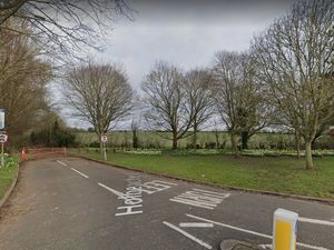 Supporting image for story: Plea for people to join battle to protect Dudley's green belt gems