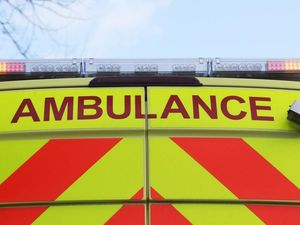 Supporting image for story