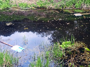 Supporting image for story: Newport pupils' canal artwork is destroyed by vandals