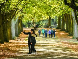 Supporting image for story: ibis hotels in Switzerland offer Instagram ‘sitters’ to post your holiday photos