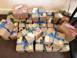 Supporting image for story: 'Happy Boxes' bring a smile to Shropshire residents while adult services shut