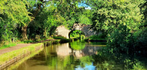 Whitchurch Waterways Country Park. Photo: Tony Fisher/Google