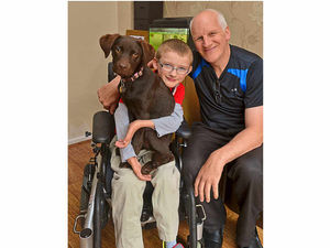 Supporting image for story: Ben's puppy training fund nears £2,000