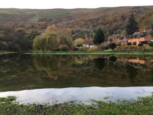 Cudwell Meadow near Church Stretton
