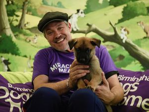 Supporting image for story: Pop idol Will Young drops into Birmingham Dogs Home with lorry load of donated meals