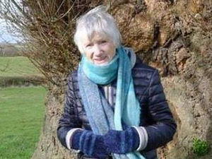 Supporting image for story: New appeal for information over pensioner beaten in her Newtown home  