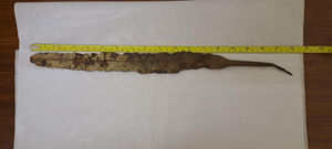 The rare Iron Age sword dug up in Builth Wells and kept in a drawer for 30 years
