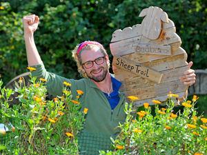 Supporting image for story: Shropshire farm's free sheep trail delights families