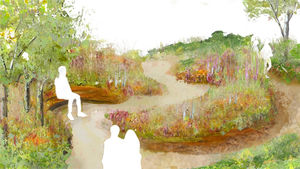 The Medicinal Garden invites visitors to reflect on the fragility of life, the strength of the human spirit, and the vital role Midlands Air Ambulance Charity plays in saving lives and giving new chances to flourish.
