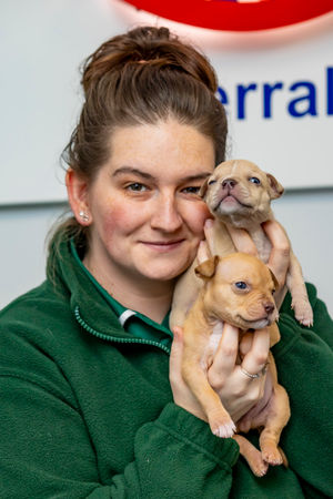 Becca Crozier with Winston and Wally