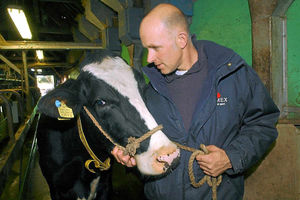 Mr Yapp with his cow Kitty, one of a herd that produces a2 milk
