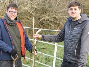 Supporting image for story: Shropshire tourist attraction launches tree of remembrance scheme