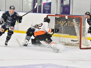 Supporting image for story: Telford Tigers suffer play-off heartbreak
