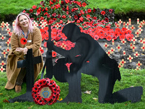 Supporting image for story: Vivid and moving tribute for Remembrance laid at Dudley war memorial