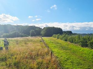 Supporting image for story: Revealed: Council's court bid to block Telford solar farm failed after legal claim served too late