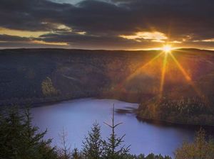 Supporting image for story: Spooky sights of nature on show at Lake Vyrnwy RSPB reserve this month