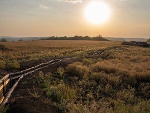 Supporting image for story: Russian arms depot on fire after Ukraine launches more than 100 drones