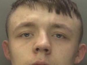 Supporting image for story: Driver of stolen car sniffed out by police dog while trying to hide