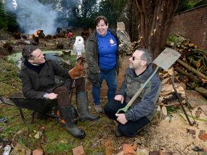 Supporting image for story: VIDEO: World Owl Centre ready to take flight at Himley Park