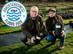 Supporting image for story: Shropshire rose growers hoping business will bloom after floods
