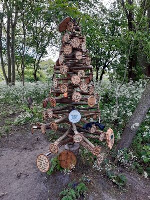 Supporting image for story