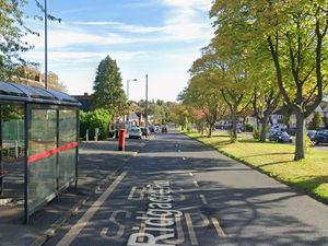 Supporting image for story: Man dies following collision between Dudley and Birmingham as a car hit a tree in the early hours