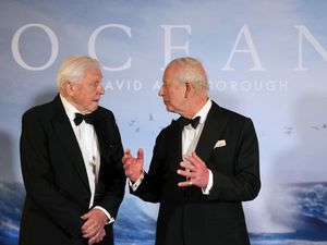 Supporting image for story: King stunned by David Attenborough’s age as pair attend ocean film premiere