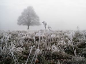 Supporting image for story: Cold weather warning in force with snow and ice ahead