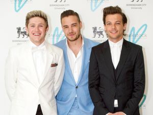 Supporting image for story: Niall Horan: I will cherish every moment with Liam Payne forever