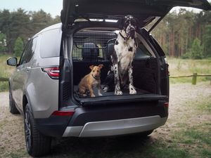 Supporting image for story: These are the best cars for dog owners