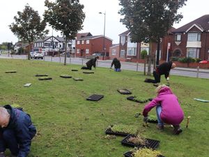 Supporting image for story: Blooming great time to be had at upcoming West Bromwich nature event