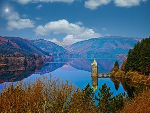 Supporting image for story: Richard puts nature into focus with stunning shots 