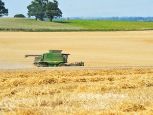 Supporting image for story: Windows for farm payments open as Shropshire farmers urged to apply 