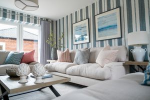 The living room  