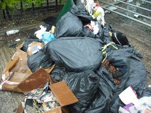 Supporting image for story: Fines for fly-tipping and 'environmental crimes' in Stafford borough set to rise