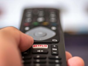 Supporting image for story: Netflix subscriber growth slows as gains from password-sharing crackdown subside