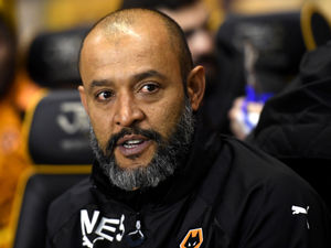 Supporting image for story: Wolves play Swansea in FA Cup