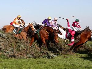 Supporting image for story: Alexa, who is going to win the Grand National?