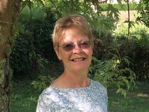 Supporting image for story: Millions of Japanese people to have eyes on Telford for Brexit Party rally