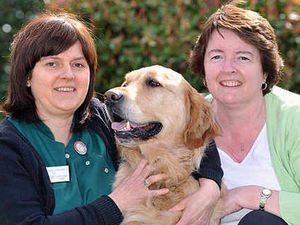 Supporting image for story: Barney's slim win