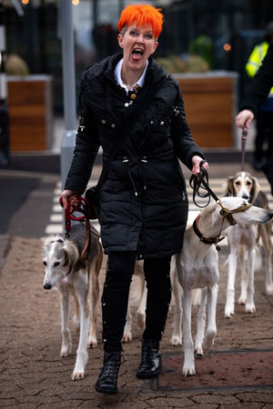 A lady and her Saluki dogs arrive at the Birmingham National Exhibition Centre (NEC) for the final day of the Crufts Dog Show. PA Photo. Issue date: Sunday March 8, 2020. See PA story ANIMALS Crufts. Photo credit should read: Jacob King/PA Wire.