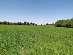 Supporting image for story: Worcestershire arable land and woodland set to be sold 