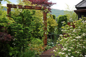 RHS Malvern Spring Festival 
